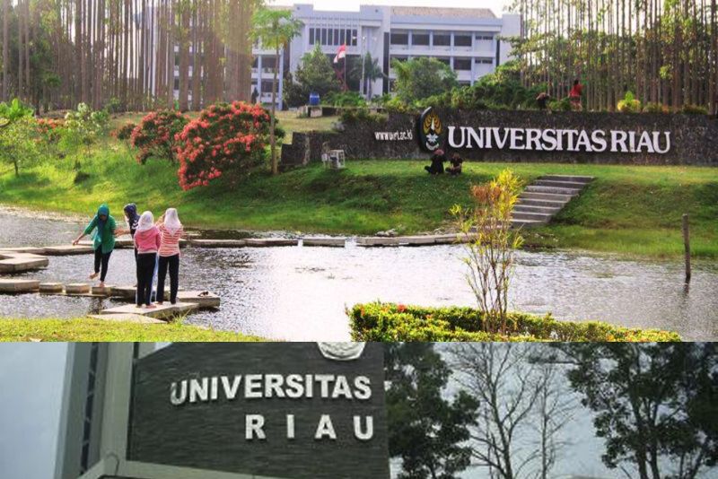 universitas riau