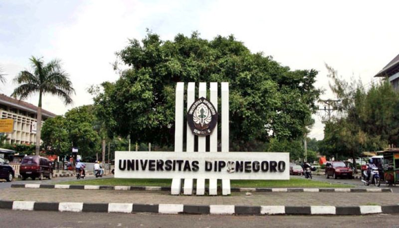 Passing Grade SNBT UNDIP 2026: Update Lengkap Jurusan dan Peluang Lolos