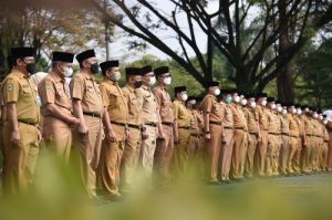 Rekomendasi Bimbel CPNS Terbaik 2025 yang Terbukti Meluluskan Banyak Peserta