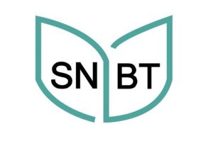 Panduan Memilih Website Tryout Online SNBT Terbaik untuk Persiapan Ujian 2025