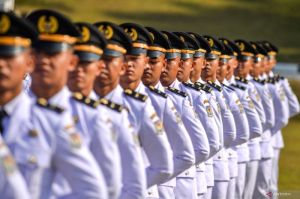 Tryout Online IPDN Gratis dan Lengkap: Rahasia Lolos Seleksi Administrasi hingga Tes SKD 2025
