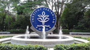 Tryout Online Masuk IPB Gratis dengan Soal Terbaru dan Nilai Langsung Keluar