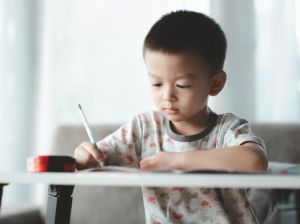 Mempersiapkan Ujian dengan Tryout Online SD PPKn