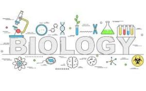 Persiapan Optimal Menghadapi Tryout Online IPA Biologi