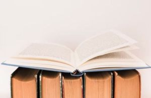 Tryout Online PPKn: Persiapan Terbaik Menghadapi Ujian Konstitusi