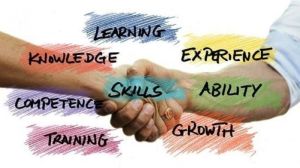 Tryout Online BUMN Core Values: Latihan Soal AKHLAK dan Simulasi Nilai Budaya Kerja