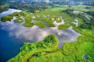 Meningkatkan Persiapan Belajar dengan Tryout Online Geografi Peta Wilayah